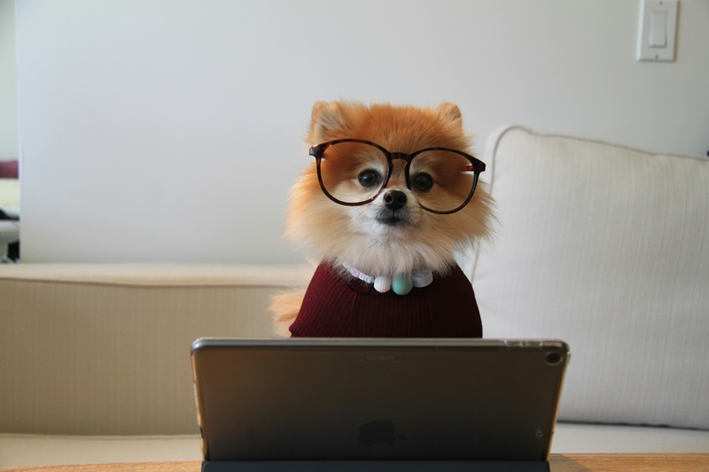 8 Steps to Affiliate Marketing Success